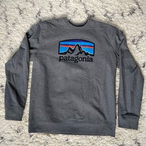 Patagonia Sweatshirt
